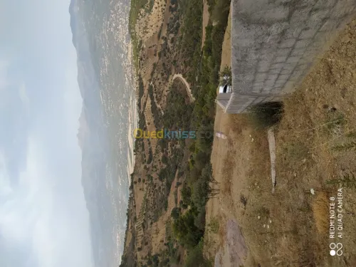 Vente Terrain Bejaia Seddouk