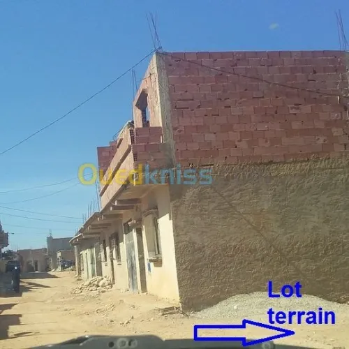 Vente Terrain Mostaganem Hassi maameche