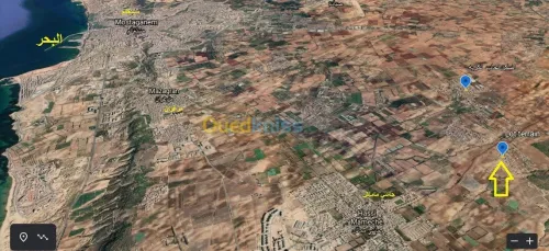 Vente Terrain Mostaganem Hassi maameche