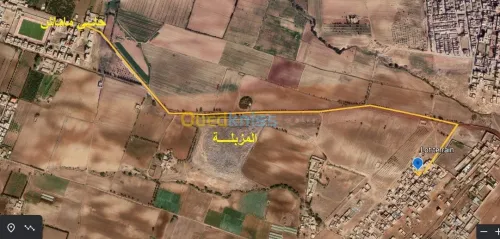 Vente Terrain Mostaganem Hassi maameche