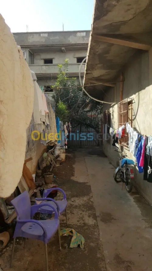 Vente Carcasse Blida Beni tamou