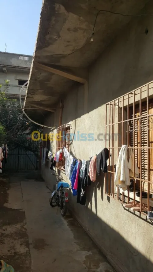 Vente Carcasse Blida Beni tamou