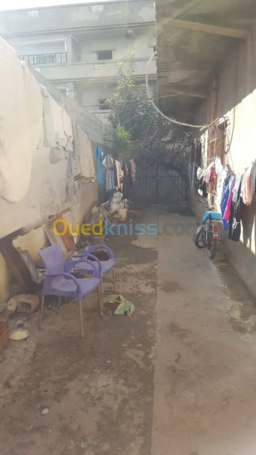 Vente Carcasse Blida Beni tamou