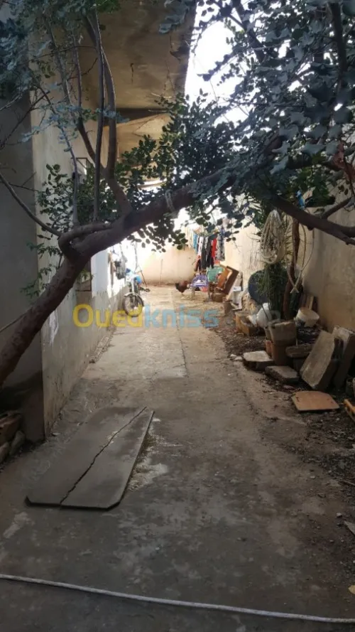 Vente Carcasse Blida Beni tamou