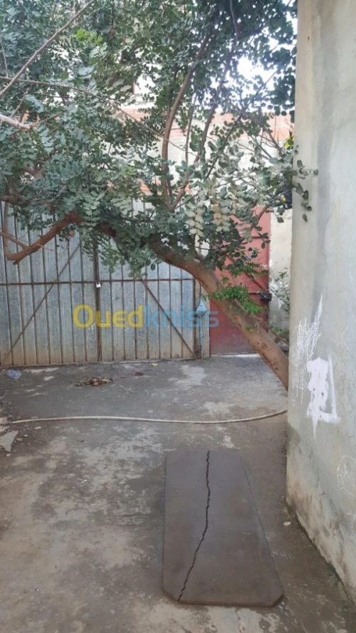 Vente Carcasse Blida Beni tamou