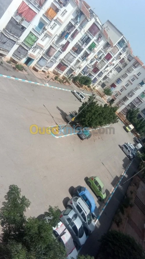 Vente Appartement F3 Chlef Chlef