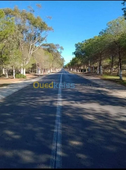 Location vacances Bungalow Mostaganem Sidi lakhdaara