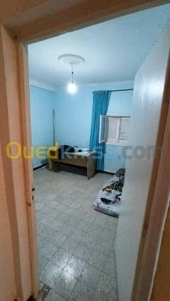 Vente Appartement F3 Laghouat Laghouat