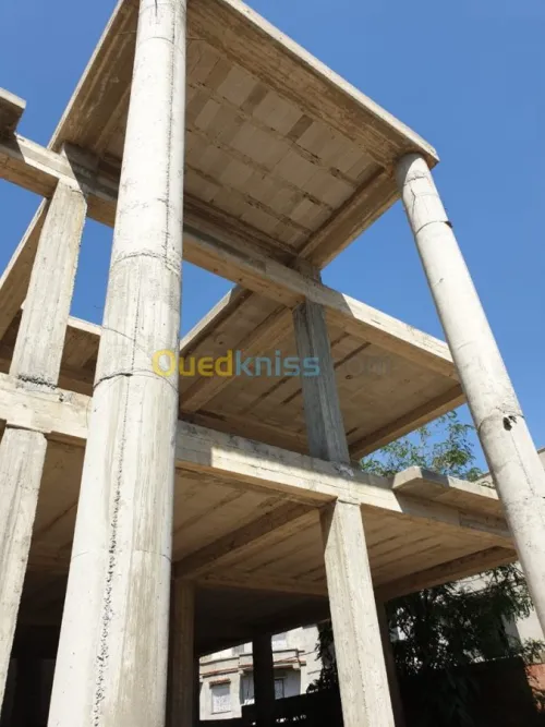 Vente Carcasse Blida Blida