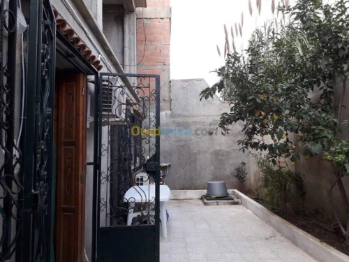 Vente Villa Blida Chebli