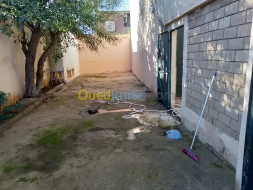 Vente Duplex F3 Sidi bel abbes Sidi bel abbes