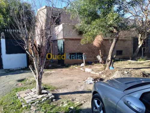 Vente Duplex F3 Sidi bel abbes Sidi bel abbes