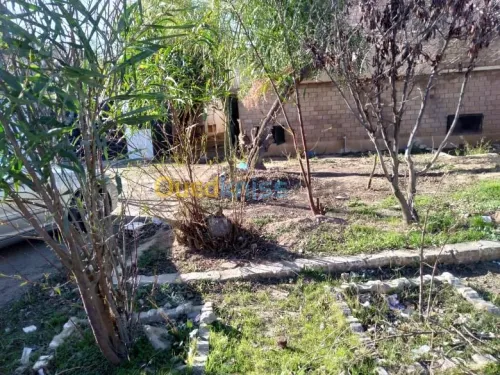 Vente Duplex F3 Sidi bel abbes Sidi bel abbes