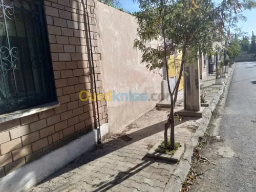 Vente Duplex F3 Sidi bel abbes Sidi bel abbes