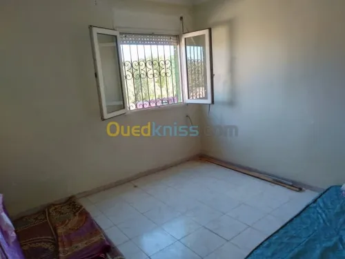 Vente Duplex F3 Sidi bel abbes Sidi bel abbes