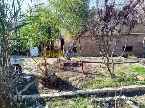 Vente Duplex F3 Sidi bel abbes Sidi bel abbes
