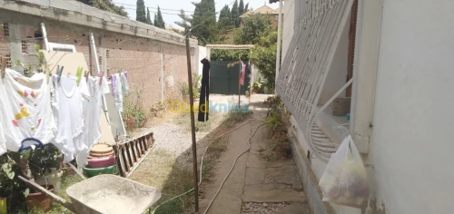 Vente Villa Alger El harrach