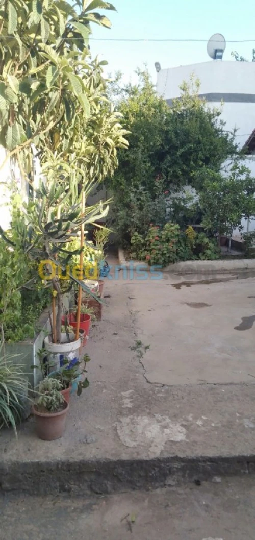 Vente Villa Alger El harrach