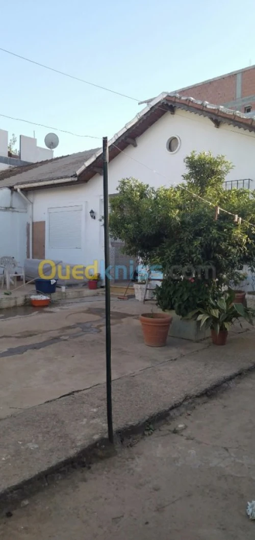 Vente Villa Alger El harrach