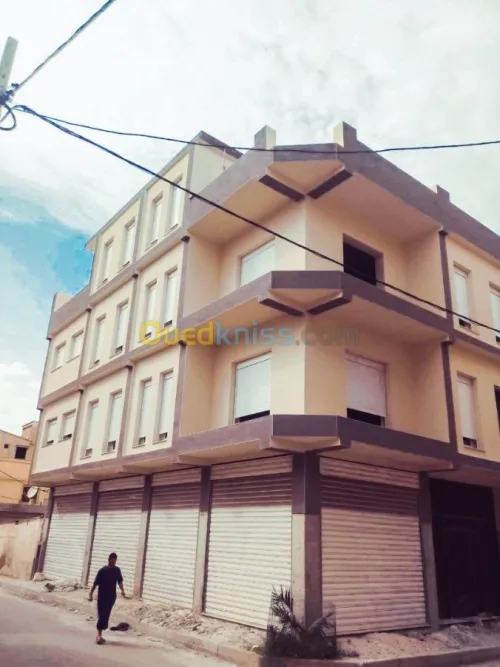PEINTURE FACADES et MONOCOUCHE