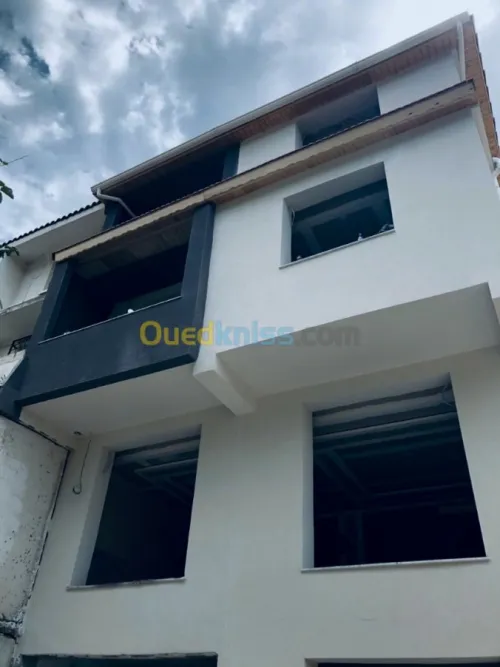 Peinture facade en monocouche