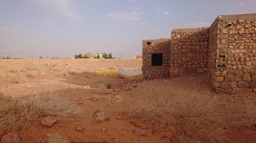 Vente Terrain Ghardaia Metlilli