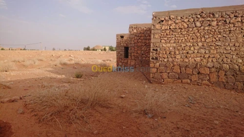 Vente Terrain Ghardaia Metlilli
