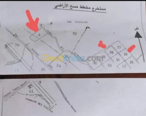 Vente Terrain Agricole Tebessa Hammamet