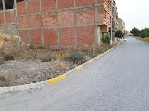 Vente Terrain Setif Setif