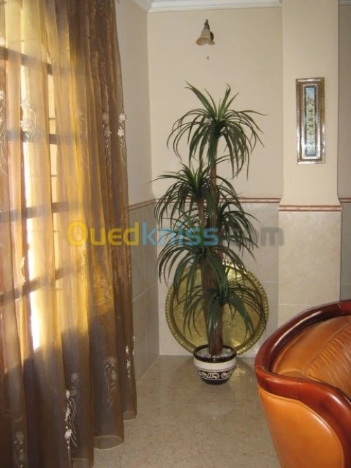 Location vacances Appartement F3 Alger Hydra
