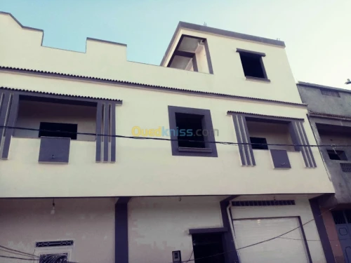 Peinture facade en monocouche griffe