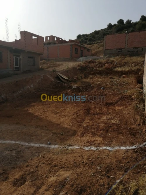 Vente Terrain Tlemcen Beni mester