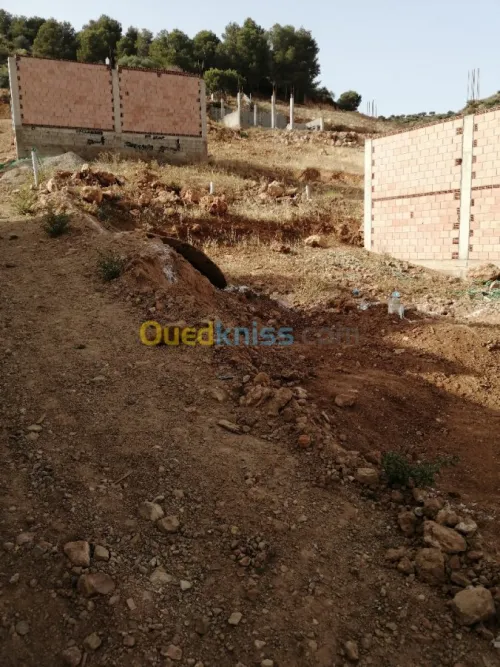 Vente Terrain Tlemcen Beni mester