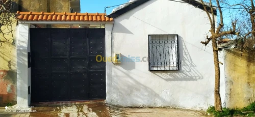 Vente bien immobilier Tipaza Chaiba