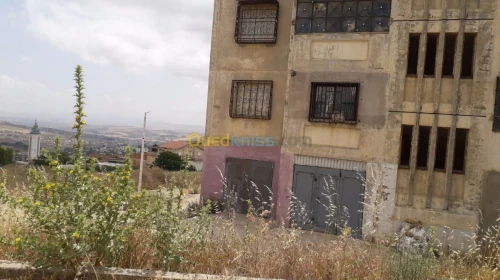 Vente Appartement F3 Constantine Constantine