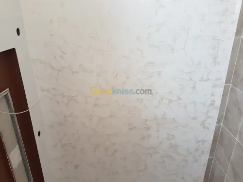 Peinture professionnel décorative 