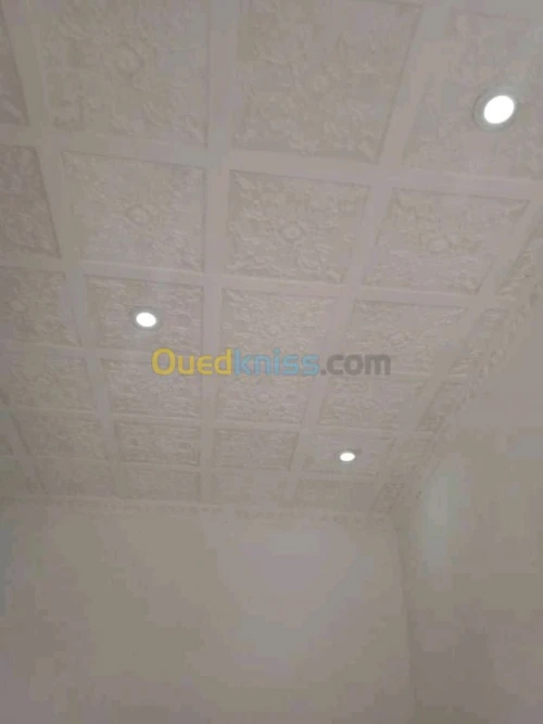 Vente Local Sidi bel abbes Sidi bel abbes