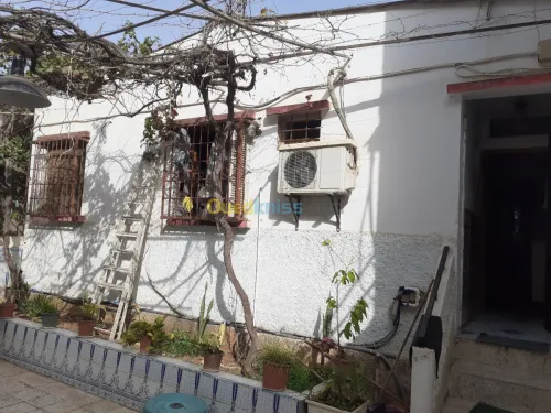 Vente Villa Alger Zeralda