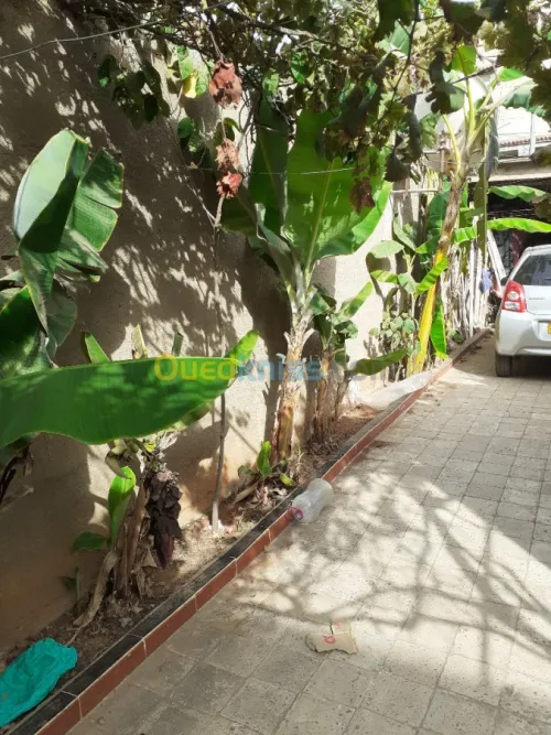 Vente Villa Alger Zeralda