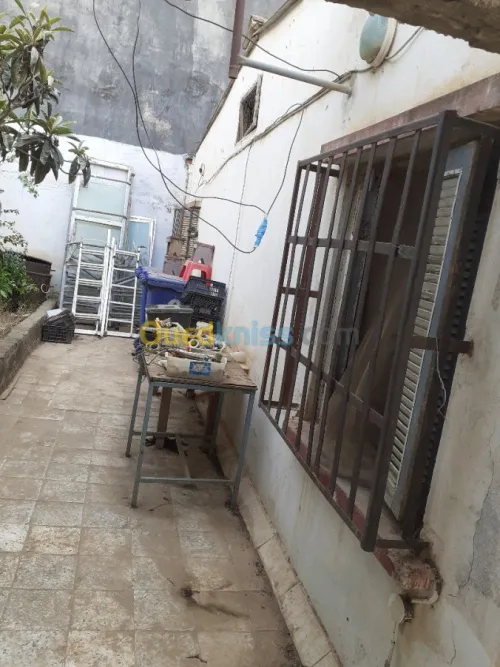 Vente Villa Alger Zeralda