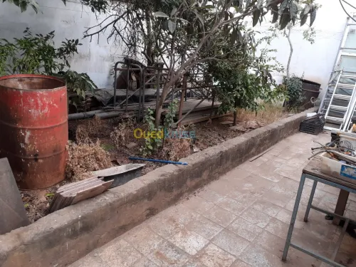 Vente Villa Alger Zeralda