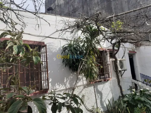 Vente Villa Alger Zeralda