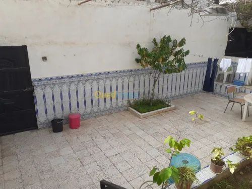 Vente Villa Alger Zeralda