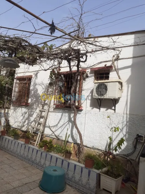 Vente Villa Alger Zeralda