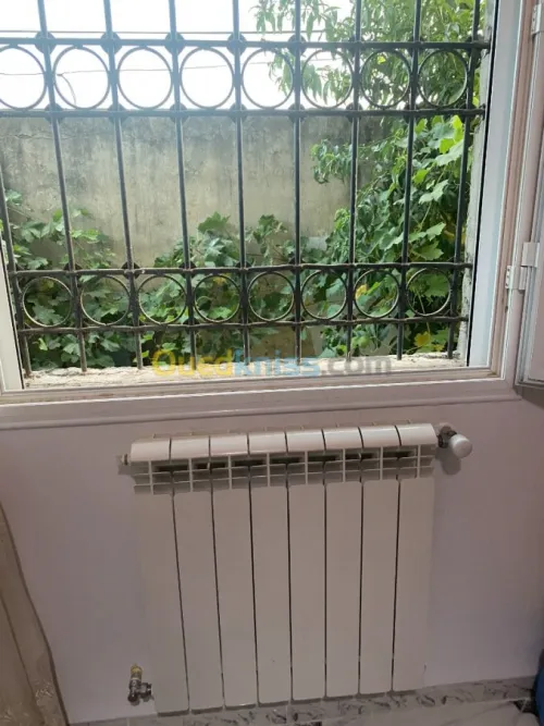 Vente Villa El taref Besbes