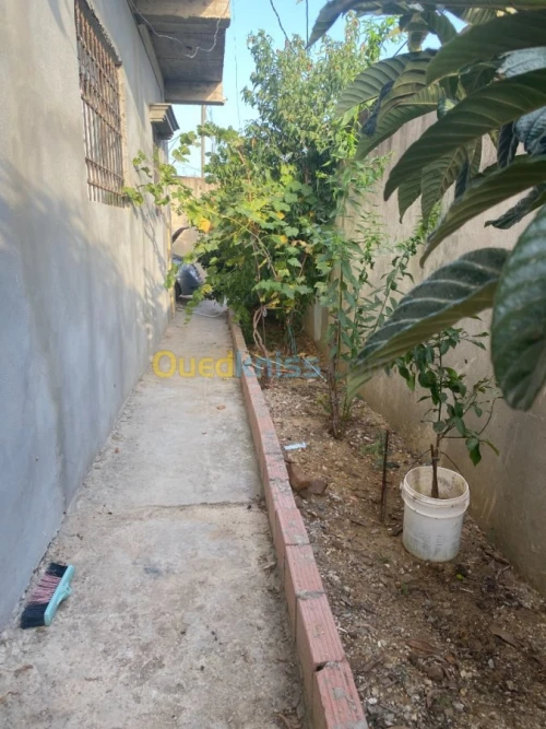 Vente Villa El taref Besbes