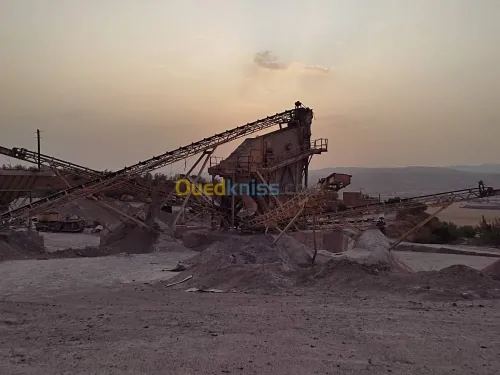 Vente Usine Chlef Oued fodda