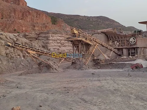 Vente Usine Chlef Oued fodda