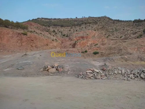 Vente Usine Chlef Oued fodda