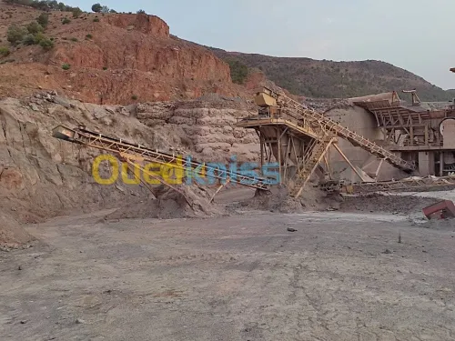 Vente Usine Chlef Oued fodda